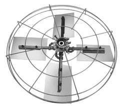 PULIDORA DE PISO CON ASPA 4 EN 1 - 168W/240V/60Hz/ 600 rpm